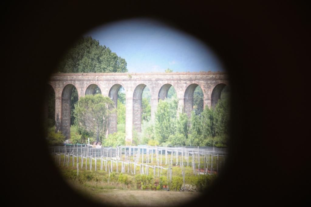 Appartamenti Vacanze Il Nottolini Capannori Extérieur photo