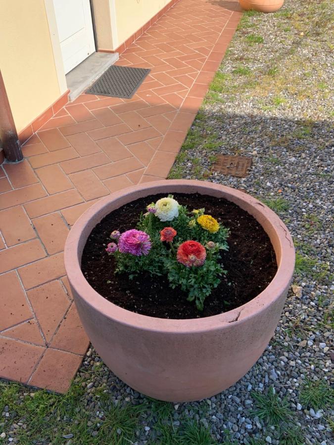 Appartamenti Vacanze Il Nottolini Capannori Extérieur photo